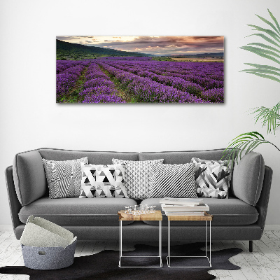 Cuadro canvas moderno de gran formato horizontal campo de lavanda