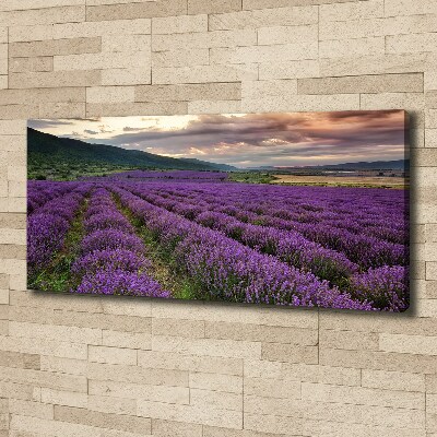 Cuadro canvas moderno de gran formato horizontal campo de lavanda