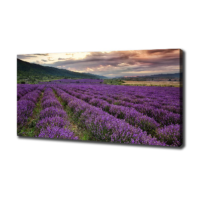 Cuadro canvas moderno de gran formato horizontal campo de lavanda