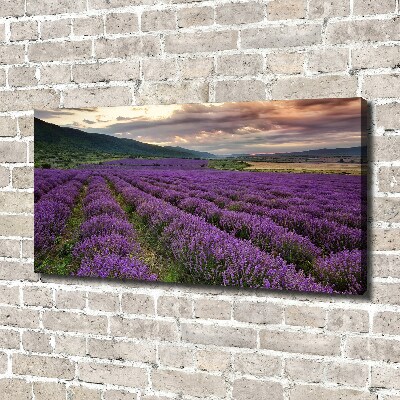 Cuadro canvas moderno de gran formato horizontal campo de lavanda
