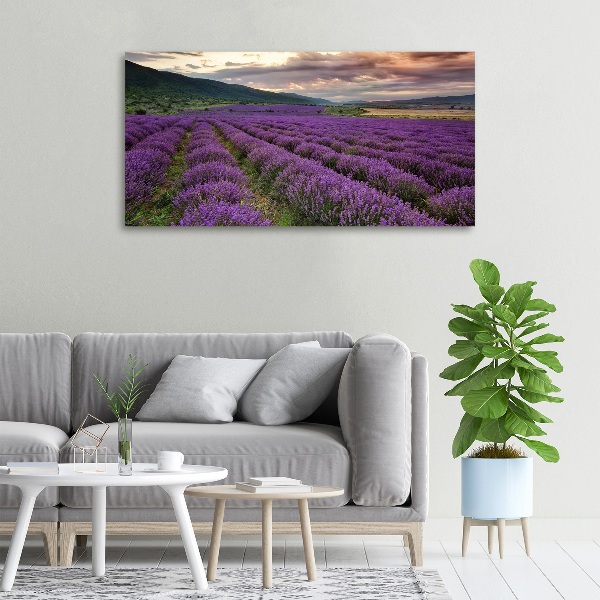 Cuadro canvas moderno de gran formato horizontal campo de lavanda