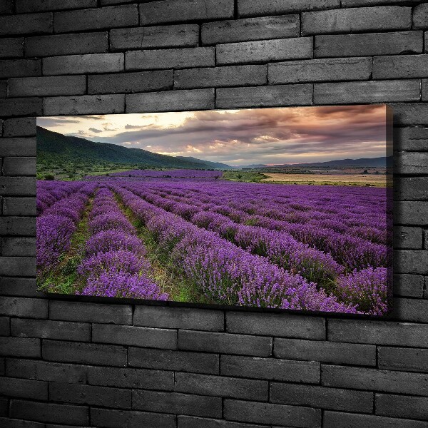 Cuadro canvas moderno de gran formato horizontal campo de lavanda