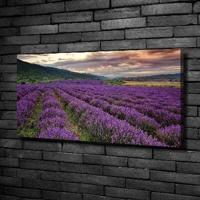 Cuadro canvas moderno de gran formato horizontal campo de lavanda