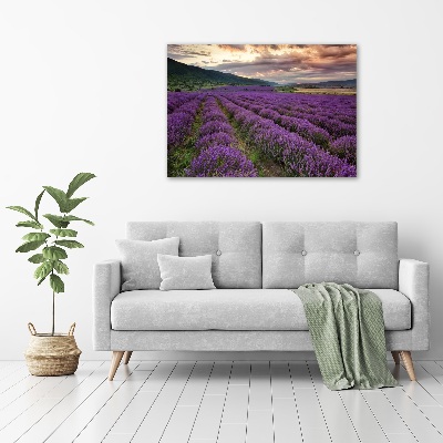 Cuadro canvas moderno de gran formato horizontal campo de lavanda