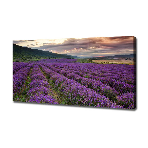 Cuadro canvas moderno de gran formato horizontal campo de lavanda
