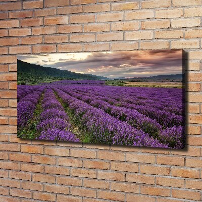Cuadro canvas moderno de gran formato horizontal campo de lavanda