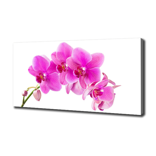 Fotocuadro en lienzo de alta calidad horizontal Orquídea rosa