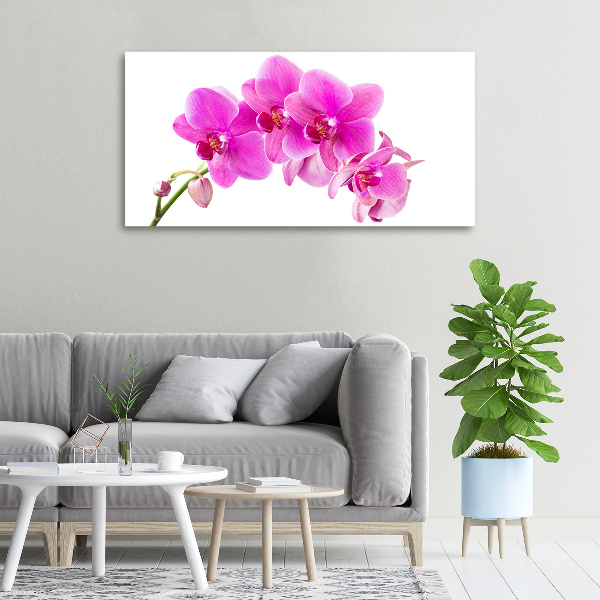 Fotocuadro en lienzo de alta calidad horizontal Orquídea rosa