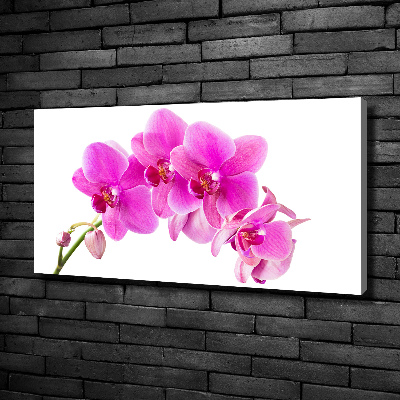 Fotocuadro en lienzo de alta calidad horizontal Orquídea rosa
