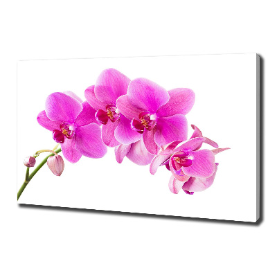 Fotocuadro en lienzo de alta calidad horizontal Orquídea rosa