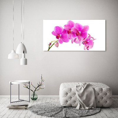 Fotocuadro en lienzo de alta calidad horizontal Orquídea rosa