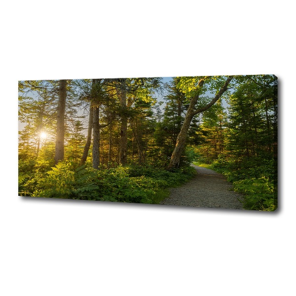 Cuadro canvas con impresión uv duradera horizontal Bosque