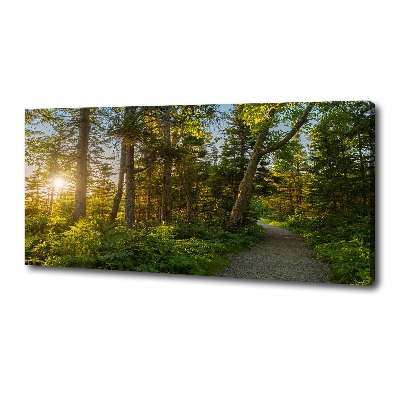 Cuadro canvas con impresión uv duradera horizontal Bosque