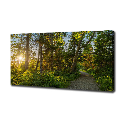 Cuadro canvas con impresión uv duradera horizontal Bosque