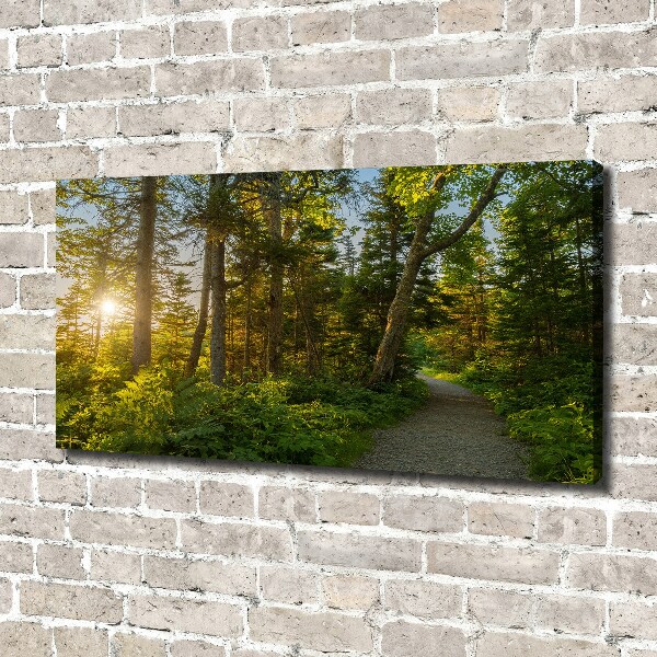 Cuadro canvas con impresión uv duradera horizontal Bosque