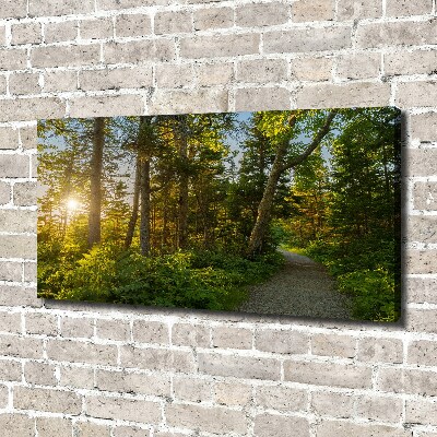 Cuadro canvas con impresión uv duradera horizontal Bosque