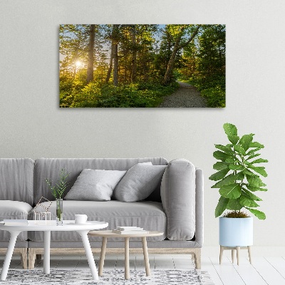 Cuadro canvas con impresión uv duradera horizontal Bosque