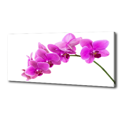 Cuadro canvas moderno de gran formato horizontal Orquídea rosa