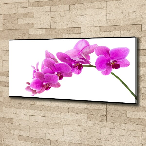Cuadro canvas moderno de gran formato horizontal Orquídea rosa