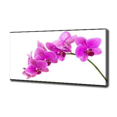Cuadro canvas moderno de gran formato horizontal Orquídea rosa