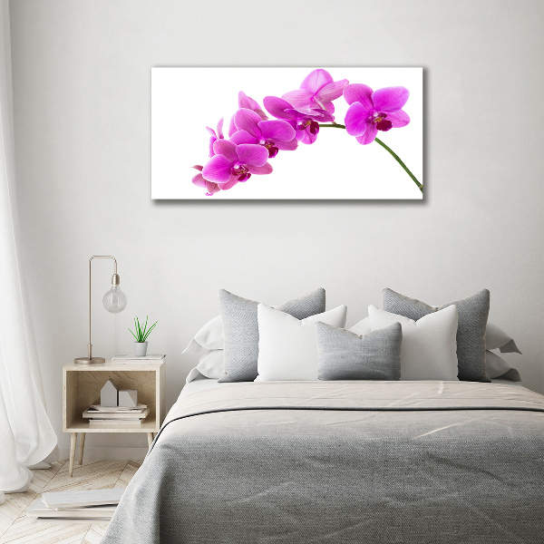 Cuadro canvas moderno de gran formato horizontal Orquídea rosa