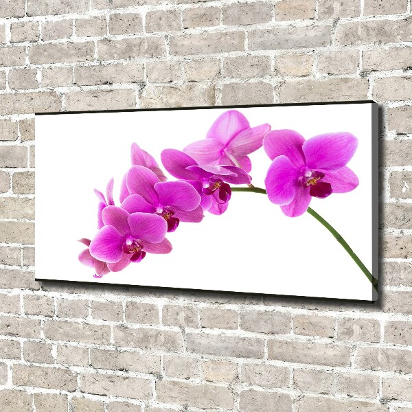 Cuadro canvas moderno de gran formato horizontal Orquídea rosa