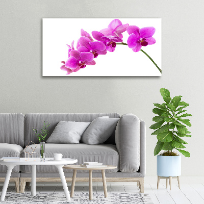 Cuadro canvas moderno de gran formato horizontal Orquídea rosa