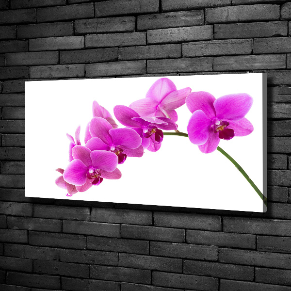 Cuadro canvas moderno de gran formato horizontal Orquídea rosa