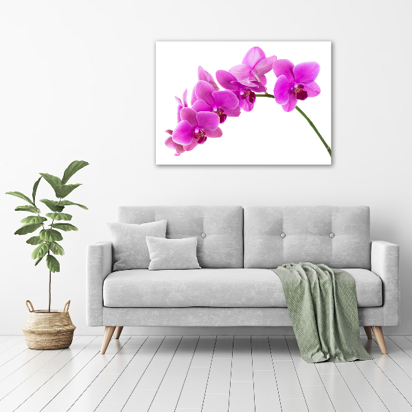 Cuadro canvas moderno de gran formato horizontal Orquídea rosa