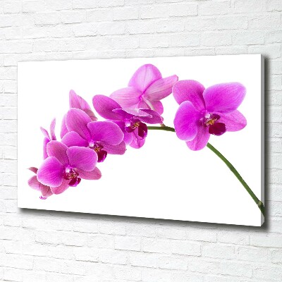 Cuadro canvas moderno de gran formato horizontal Orquídea rosa