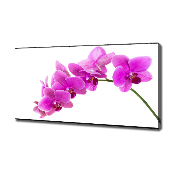 Cuadro canvas moderno de gran formato horizontal Orquídea rosa