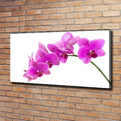 Cuadro canvas moderno de gran formato horizontal Orquídea rosa