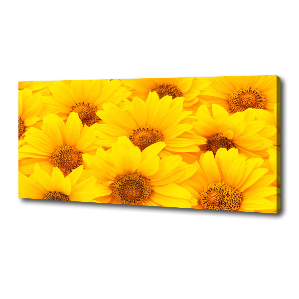Fotocuadro en lienzo de alta calidad horizontal Girasoles