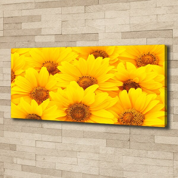 Fotocuadro en lienzo de alta calidad horizontal Girasoles