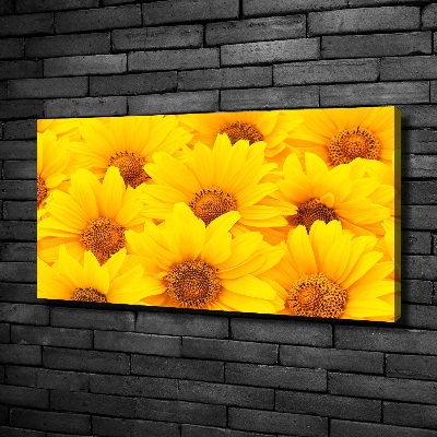 Fotocuadro en lienzo de alta calidad horizontal Girasoles