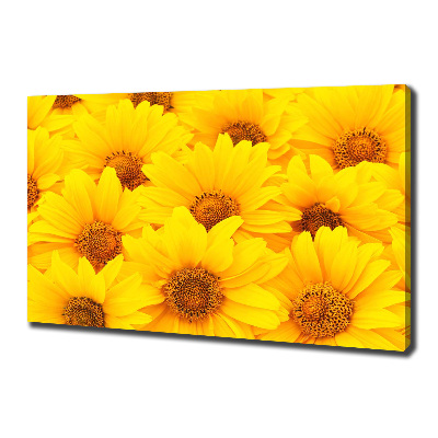 Fotocuadro en lienzo de alta calidad horizontal Girasoles