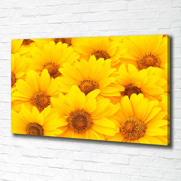 Fotocuadro en lienzo de alta calidad horizontal Girasoles