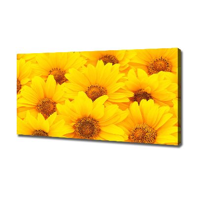 Fotocuadro en lienzo de alta calidad horizontal Girasoles