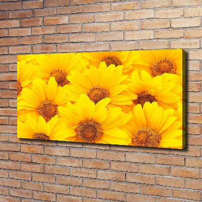 Fotocuadro en lienzo de alta calidad horizontal Girasoles