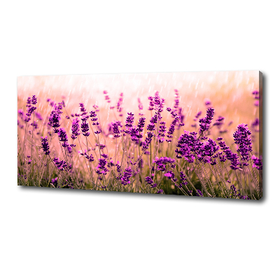 Cuadro canvas con impresión uv duradera horizontal Lavanda