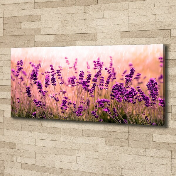 Cuadro canvas con impresión uv duradera horizontal Lavanda
