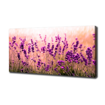 Cuadro canvas con impresión uv duradera horizontal Lavanda