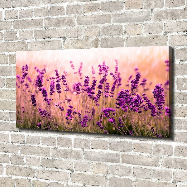 Cuadro canvas con impresión uv duradera horizontal Lavanda