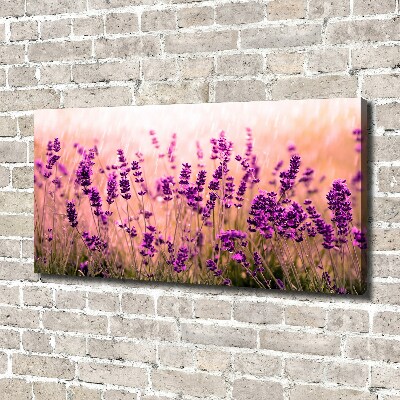 Cuadro canvas con impresión uv duradera horizontal Lavanda