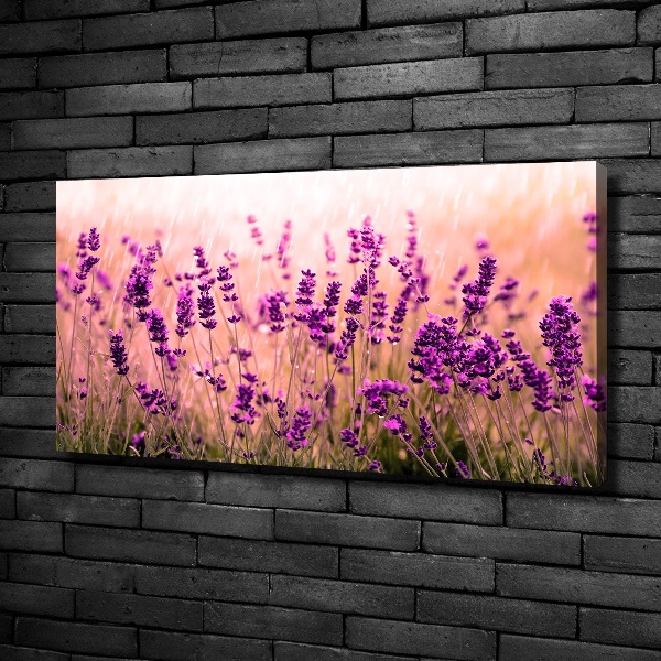 Cuadro canvas con impresión uv duradera horizontal Lavanda