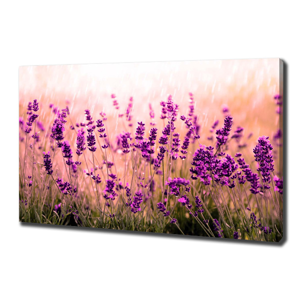 Cuadro canvas con impresión uv duradera horizontal Lavanda