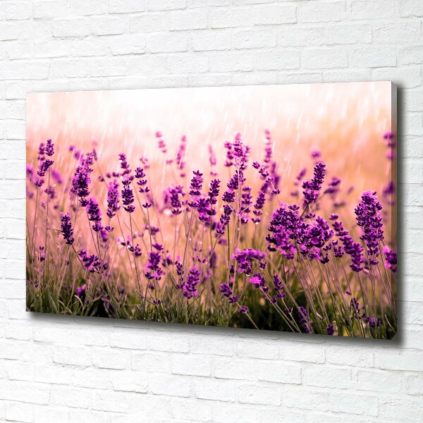 Cuadro canvas con impresión uv duradera horizontal Lavanda