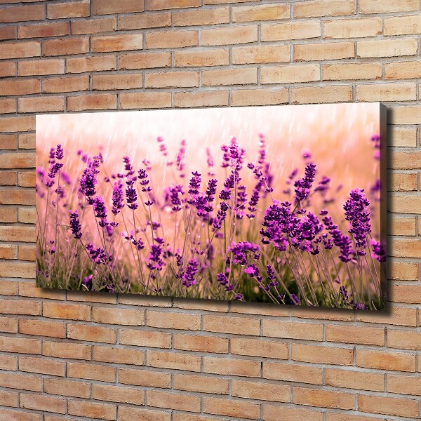 Cuadro canvas con impresión uv duradera horizontal Lavanda
