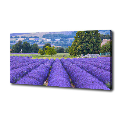 Cuadro canvas moderno de gran formato horizontal campo de lavanda