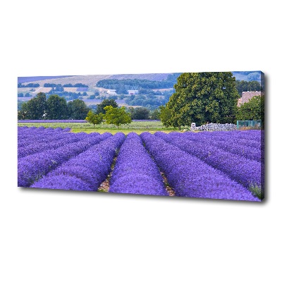 Cuadro canvas moderno de gran formato horizontal campo de lavanda